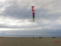 Roemoe_2014_038