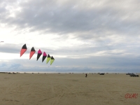 Roemoe_2014_040