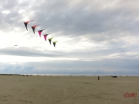 Roemoe_2014_041