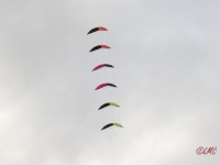 Roemoe_2014_042