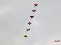 Roemoe_2014_043