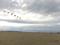 Roemoe_2014_044
