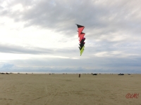 Roemoe_2014_045