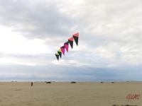 Roemoe_2014_046