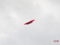 Roemoe_2014_047