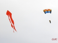 Roemoe_2014_048