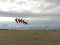 Roemoe_2014_049