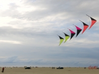 Roemoe_2014_050