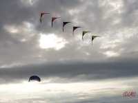 Roemoe_2014_052