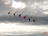 Roemoe_2014_054