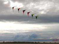 Roemoe_2014_055