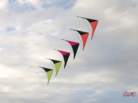 Roemoe_2014_056