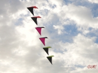 Roemoe_2014_057