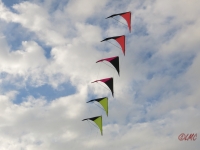Roemoe_2014_058