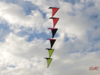 Roemoe_2014_059
