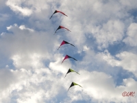 Roemoe_2014_060