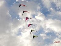 Roemoe_2014_061