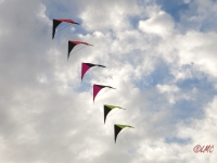 Roemoe_2014_062