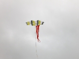 Roemoe_2014_007