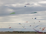 Roemoe_2014_016
