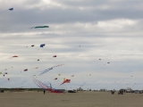 Roemoe_2014_018