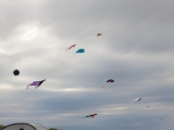 Roemoe_2014_019