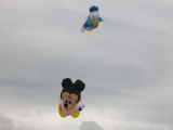 Roemoe_2014_022