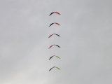 Roemoe_2014_025