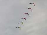 Roemoe_2014_026