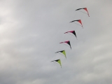 Roemoe_2014_027