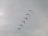 Roemoe_2014_029