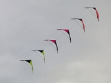 Roemoe_2014_030
