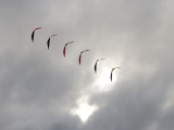 Roemoe_2014_031