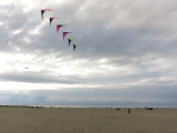 Roemoe_2014_035
