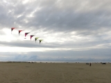 Roemoe_2014_036
