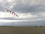 Roemoe_2014_037