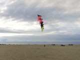 Roemoe_2014_039