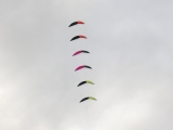 Roemoe_2014_042