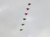 Roemoe_2014_043