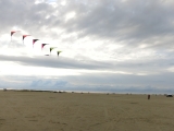 Roemoe_2014_044