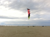 Roemoe_2014_045