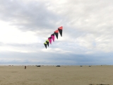 Roemoe_2014_046