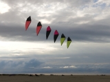 Roemoe_2014_053