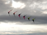 Roemoe_2014_054
