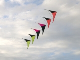 Roemoe_2014_056