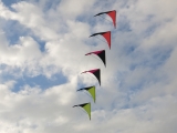 Roemoe_2014_058