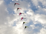 Roemoe_2014_061