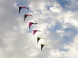 Roemoe_2014_062