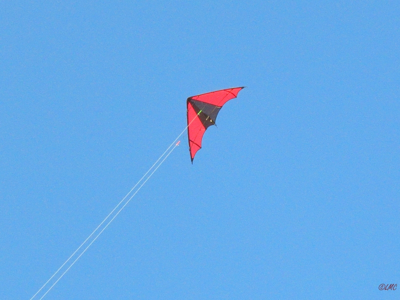 Roemoe_2014_064