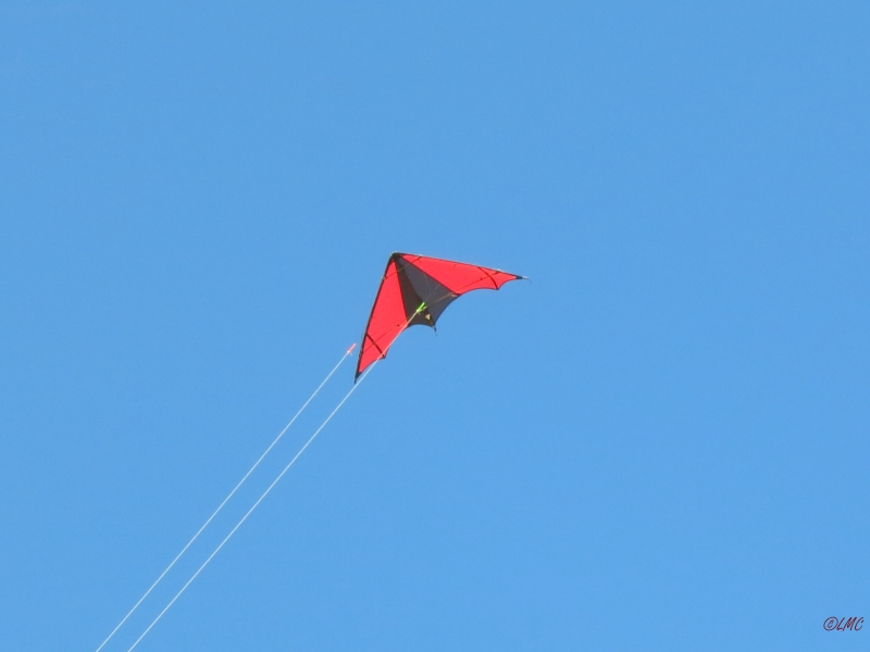 Roemoe_2014_065
